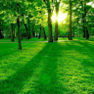 Meet your Posher, Jyothis